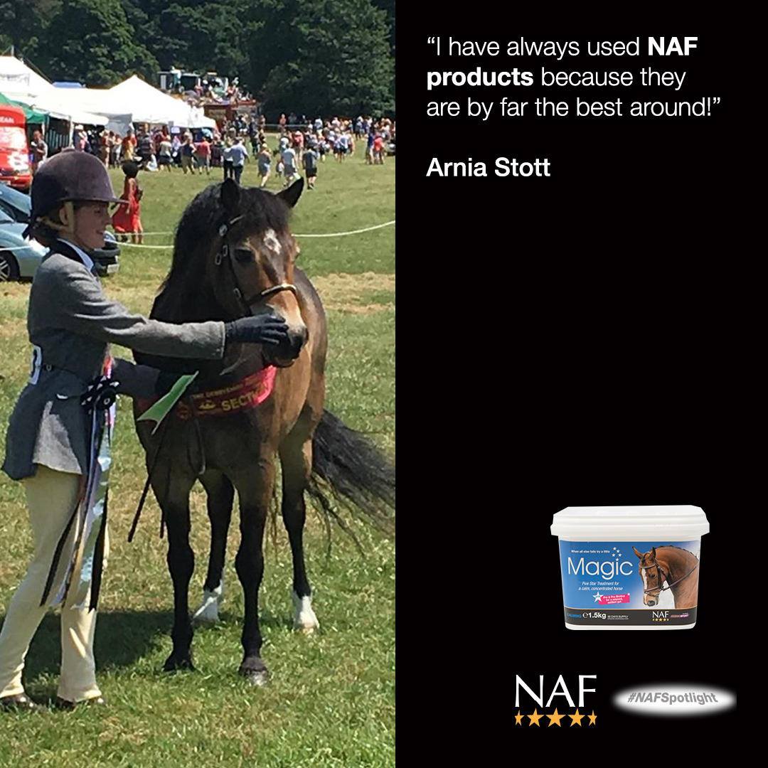 #NAFSpotlight